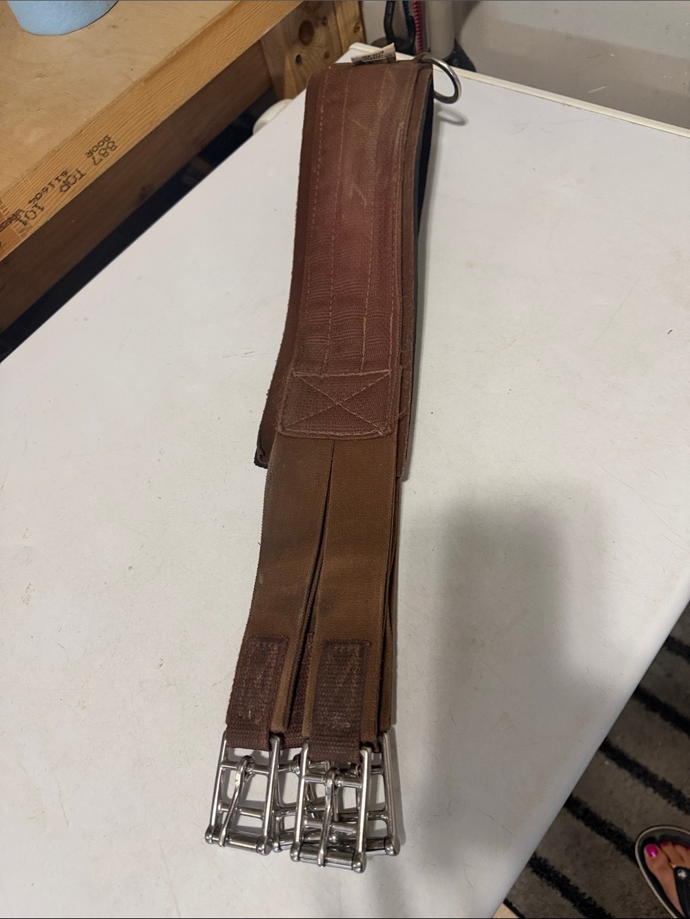 Size 44 professional choice girth